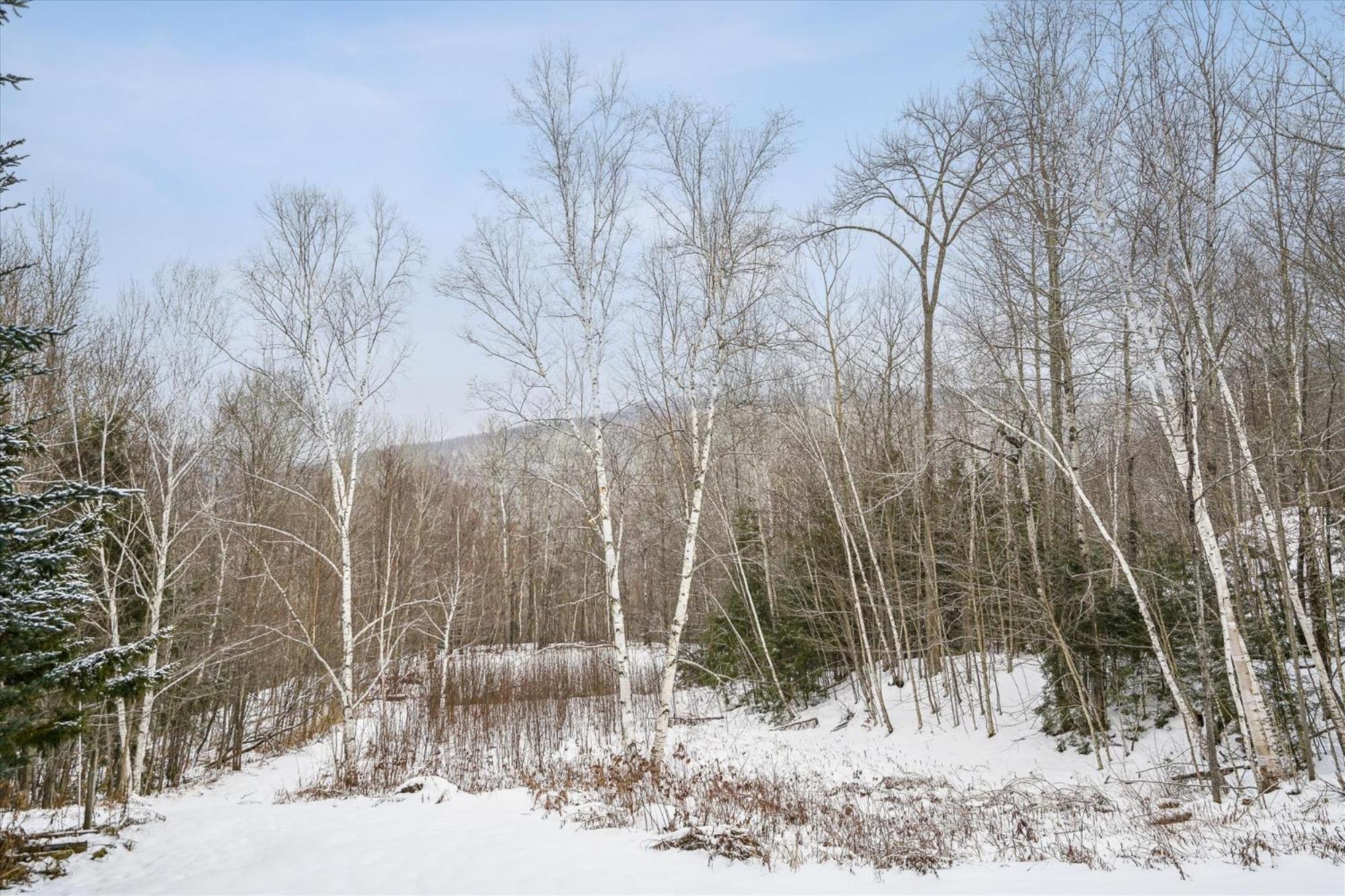 Spacious Northbrook 3 Townhouse Only 2 Miles From Restaurants & Nightlife Killington Luaran gambar